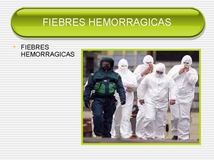 FIEBRES HEMORRAGICAS • FIEBRES HEMORRAGICAS 