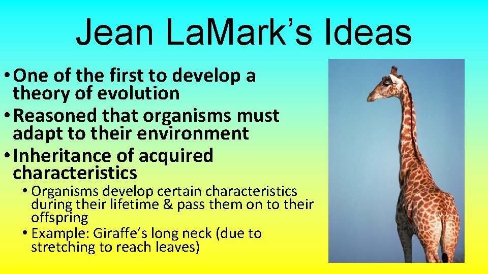 Jean La. Mark’s Ideas • One of the first to develop a theory of