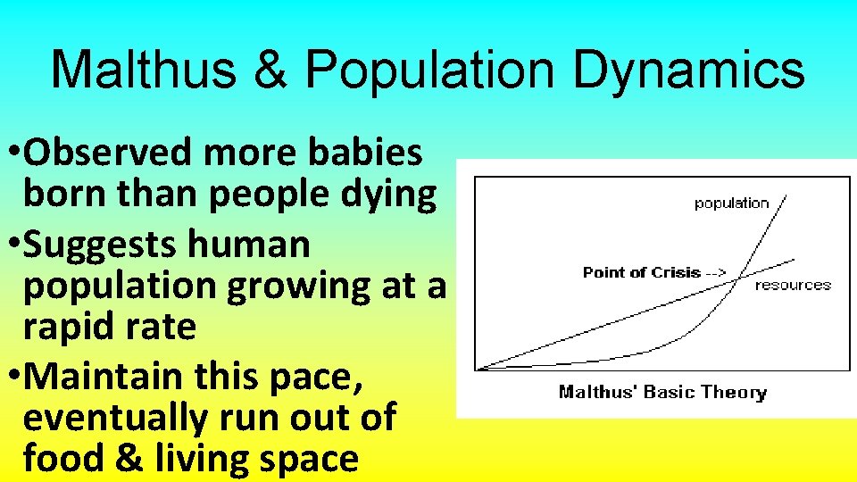 Malthus & Population Dynamics • Observed more babies born than people dying • Suggests