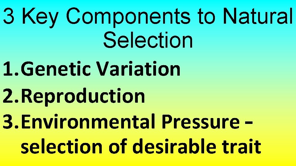 3 Key Components to Natural Selection 1. Genetic Variation 2. Reproduction 3. Environmental Pressure