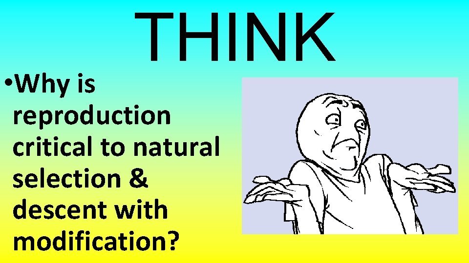 THINK • Why is reproduction critical to natural selection & descent with modification? 