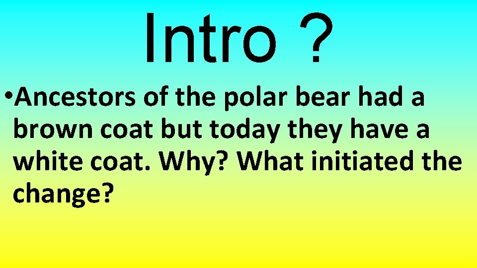 Intro ? • Ancestors of the polar bear had a brown coat but today