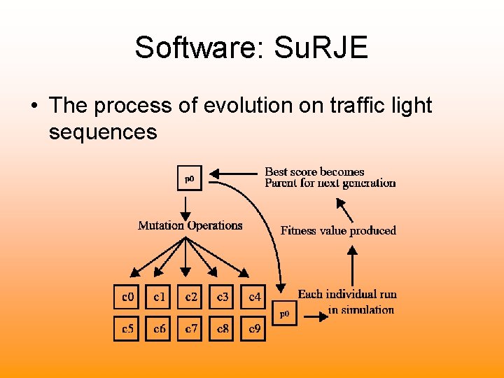Software: Su. RJE • The process of evolution on traffic light sequences 