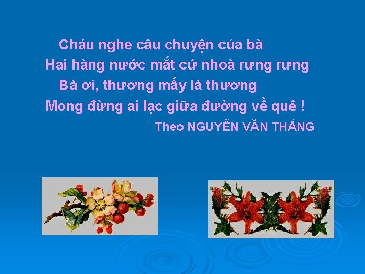 Cháu nghe câu chuyện của bà Hai hàng nước mắt cứ nhoà rưng Bà