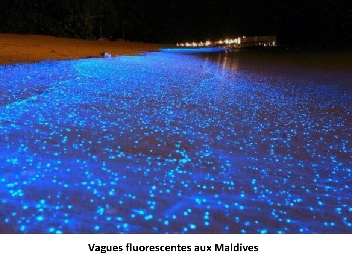 Vagues fluorescentes aux Maldives 