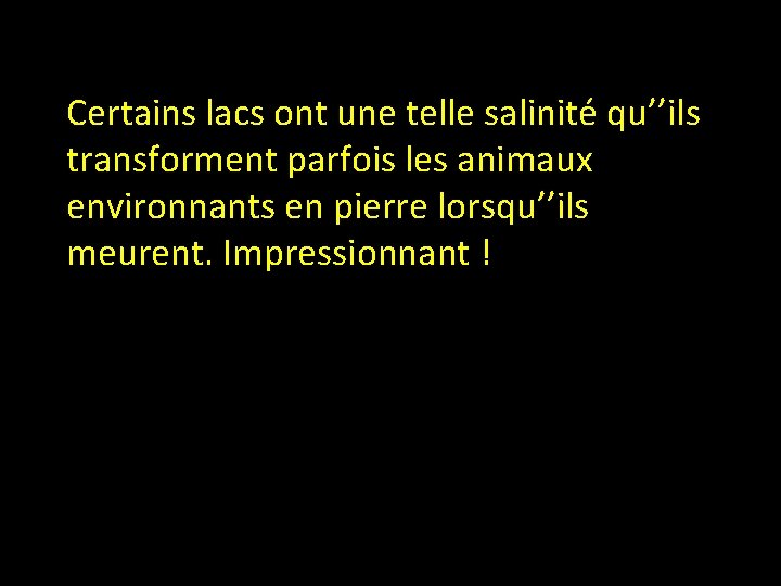 Certains lacs ont une telle salinité qu’’ils transforment parfois les animaux environnants en pierre