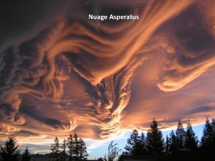 Nuage Asperatus 