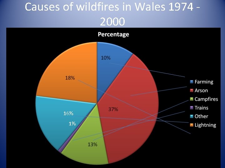 Causes of wildfires in Wales 1974 2000 16% 1% 