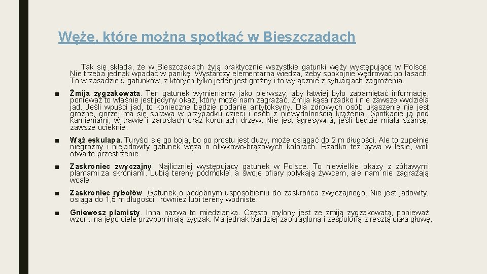 Węże, które można spotkać w Bieszczadach Tak się składa, że w Bieszczadach żyją praktycznie