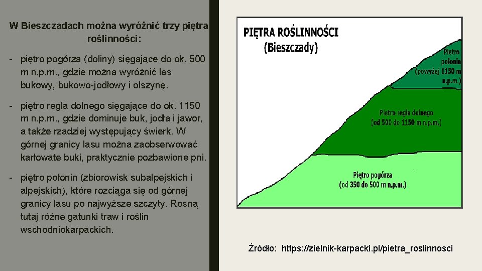 W Bieszczadach można wyróżnić trzy piętra roślinności: - piętro pogórza (doliny) sięgające do ok.