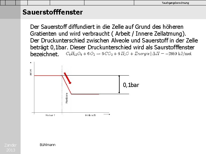 Tauchgangsberechnung Sauerstofffenster Der Sauerstoff diffundiert in die Zelle auf Grund des höheren Gratienten und