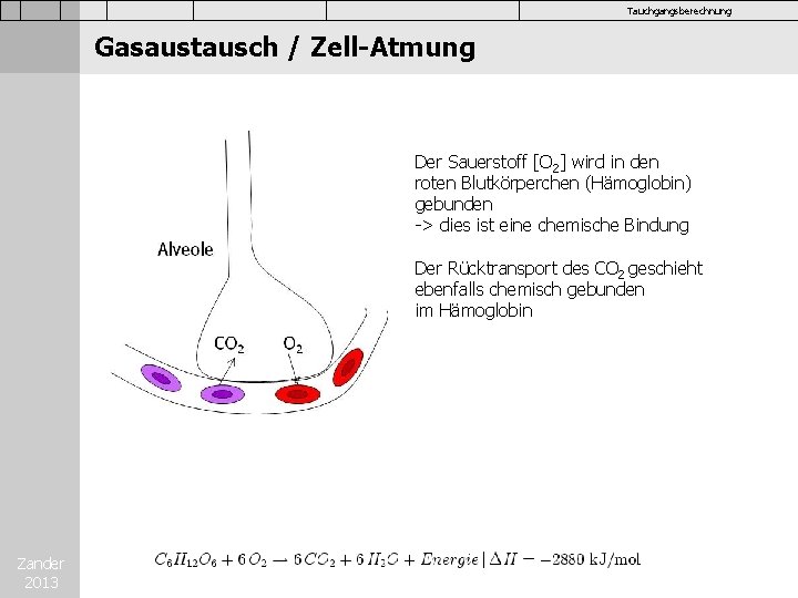 Tauchgangsberechnung Gasaustausch / Zell-Atmung Der Sauerstoff [O 2] wird in den roten Blutkörperchen (Hämoglobin)