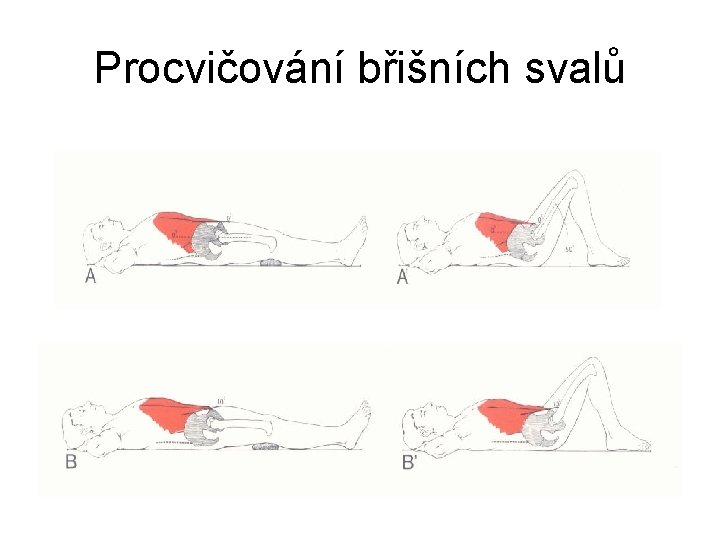 Procvičování břišních svalů 