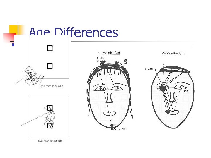 Age Differences 