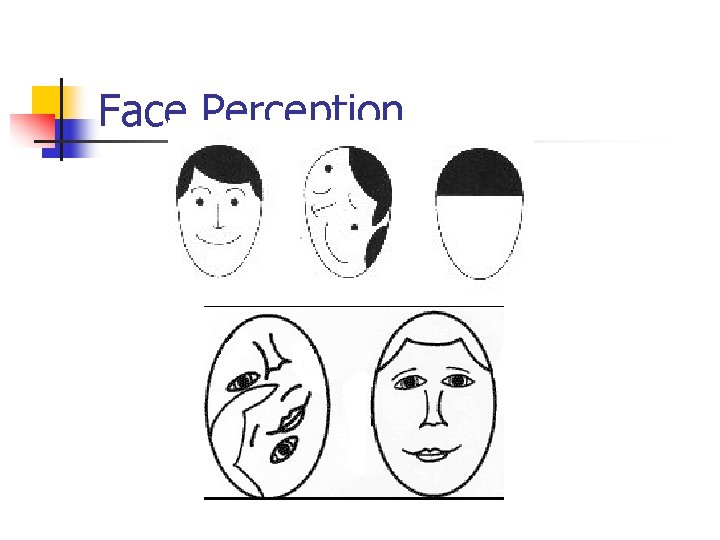 Face Perception 