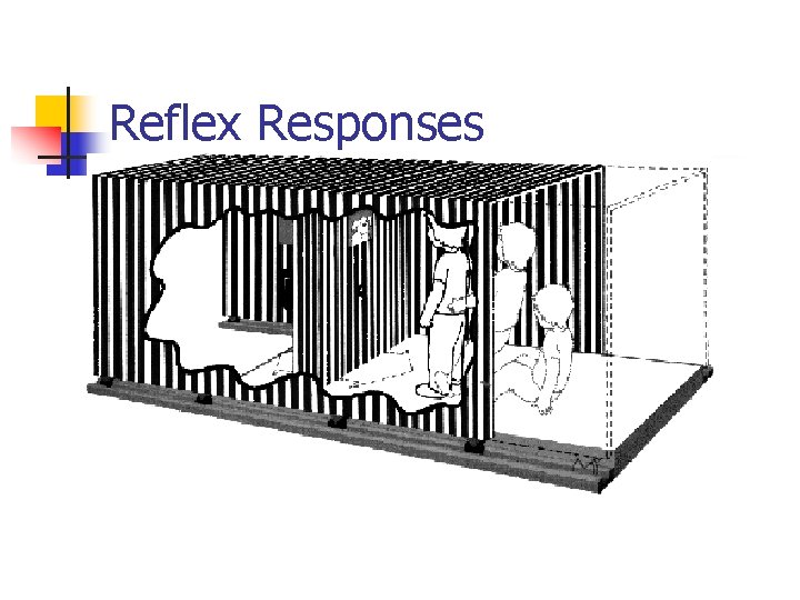 Reflex Responses 