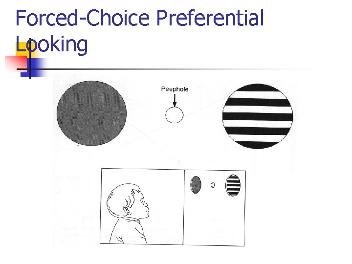 Forced-Choice Preferential Looking 