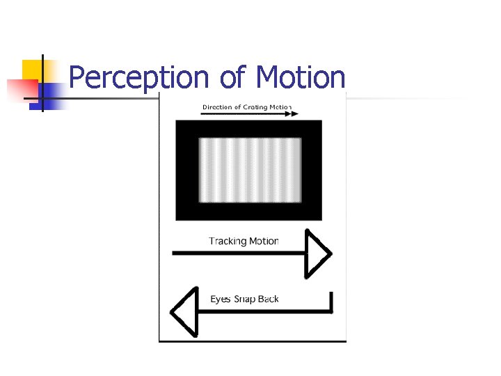 Perception of Motion 