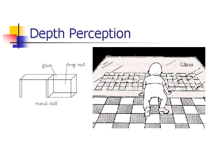 Depth Perception 