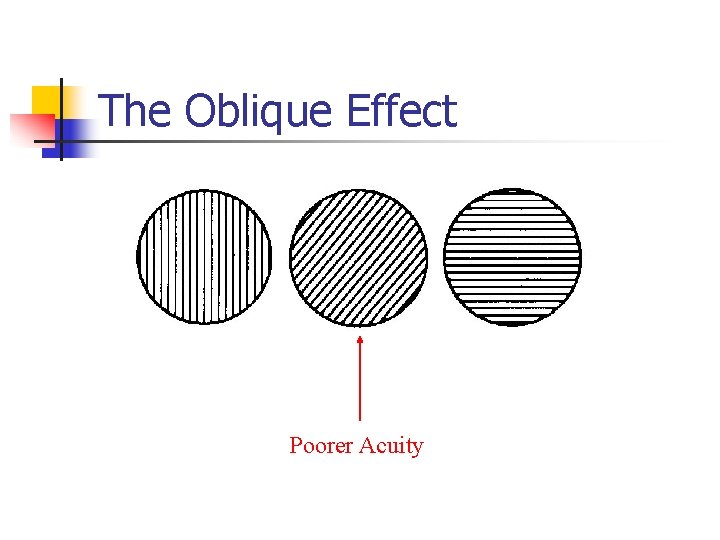 The Oblique Effect Poorer Acuity 