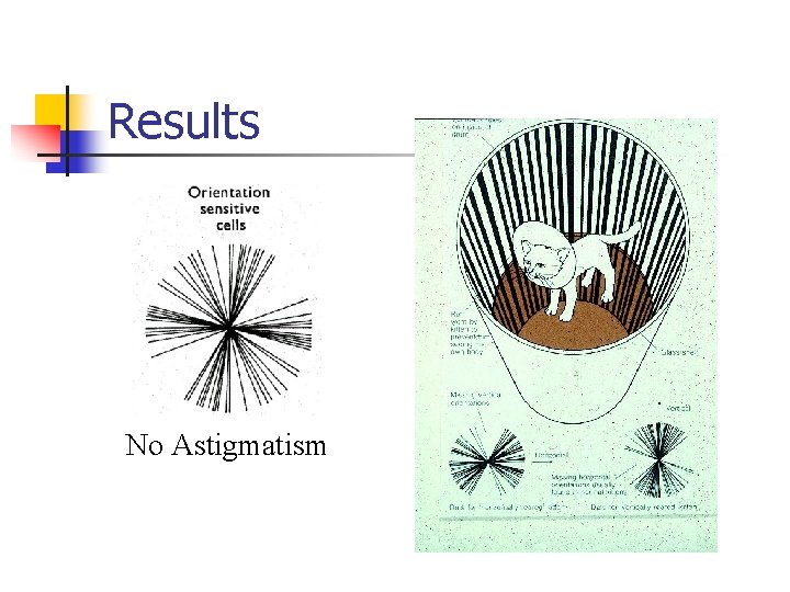 Results No Astigmatism 