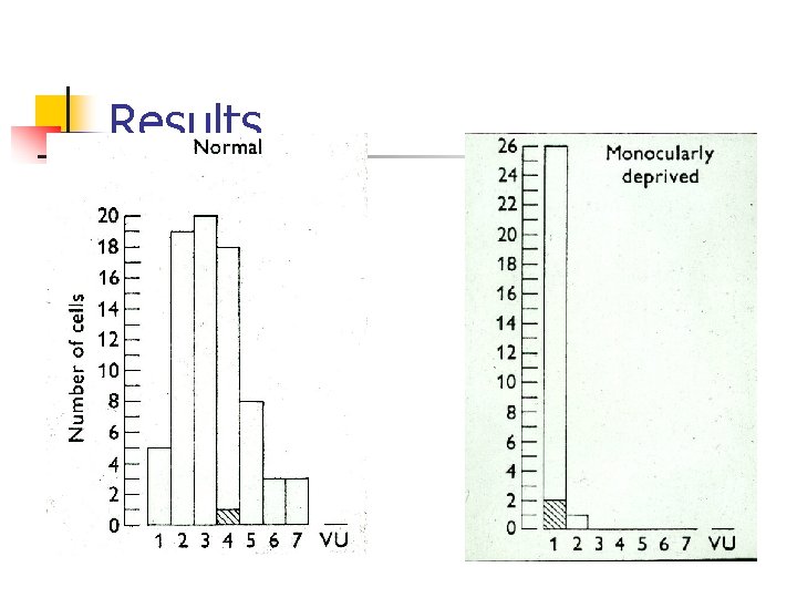 Results 