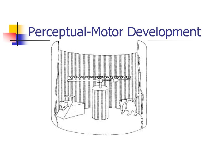 Perceptual-Motor Development 