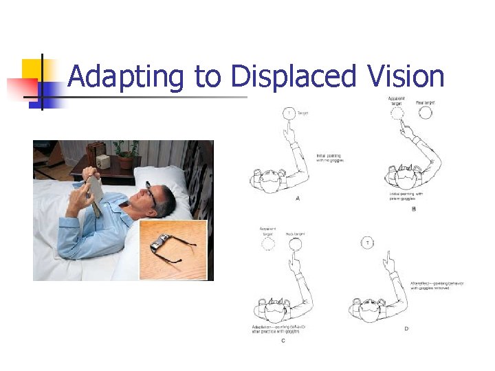 Adapting to Displaced Vision 