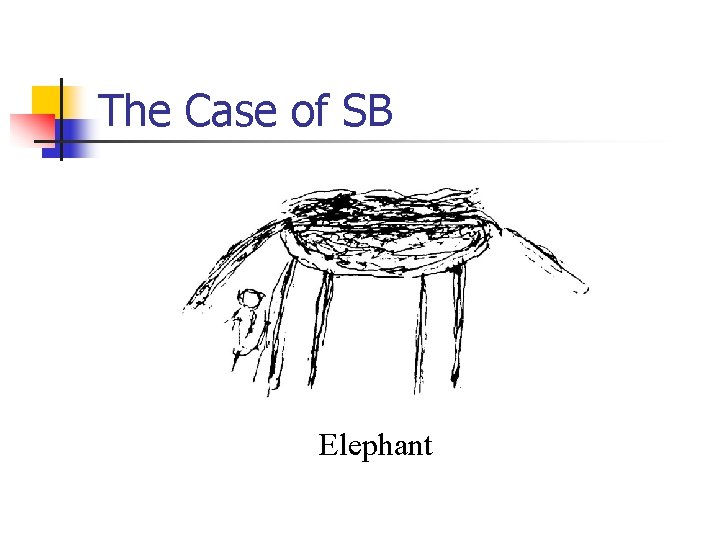 The Case of SB Elephant 