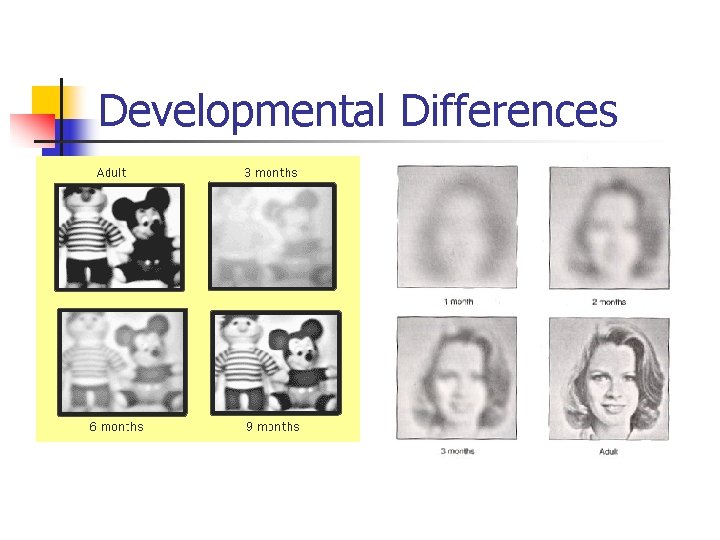 Developmental Differences 