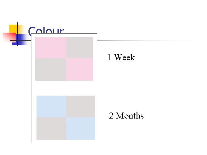 Colour 1 Week 2 Months 