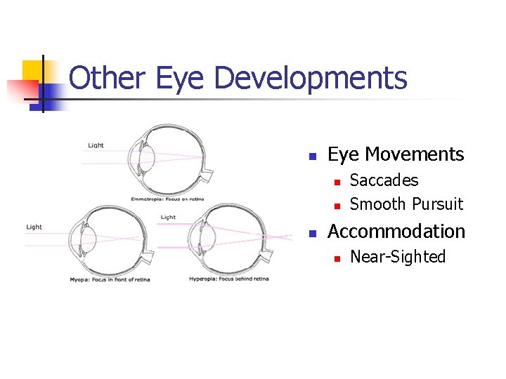 Other Eye Developments n Eye Movements n n n Saccades Smooth Pursuit Accommodation n