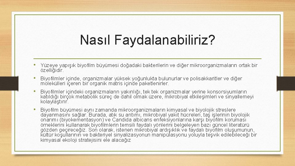 Nasıl Faydalanabiliriz? • Yüzeye yapışık biyofilm büyümesi doğadaki bakterilerin ve diğer mikroorganizmaların ortak bir