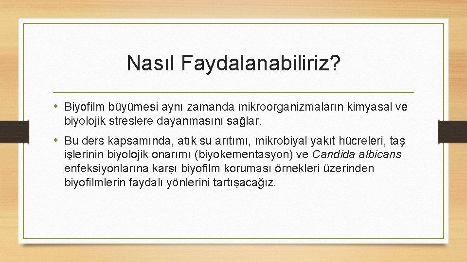 Nasıl Faydalanabiliriz? • Biyofilm büyümesi aynı zamanda mikroorganizmaların kimyasal ve biyolojik streslere dayanmasını sağlar.