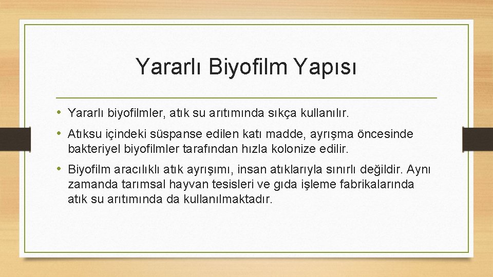 Yararlı Biyofilm Yapısı • Yararlı biyofilmler, atık su arıtımında sıkça kullanılır. • Atıksu içindeki