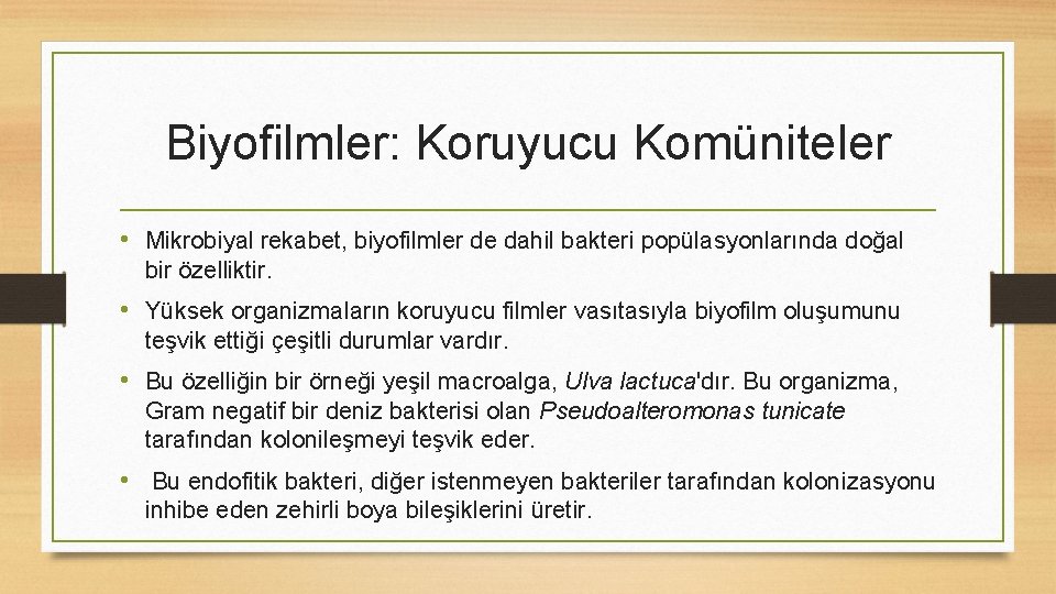 Biyofilmler: Koruyucu Komüniteler • Mikrobiyal rekabet, biyofilmler de dahil bakteri popülasyonlarında doğal bir özelliktir.