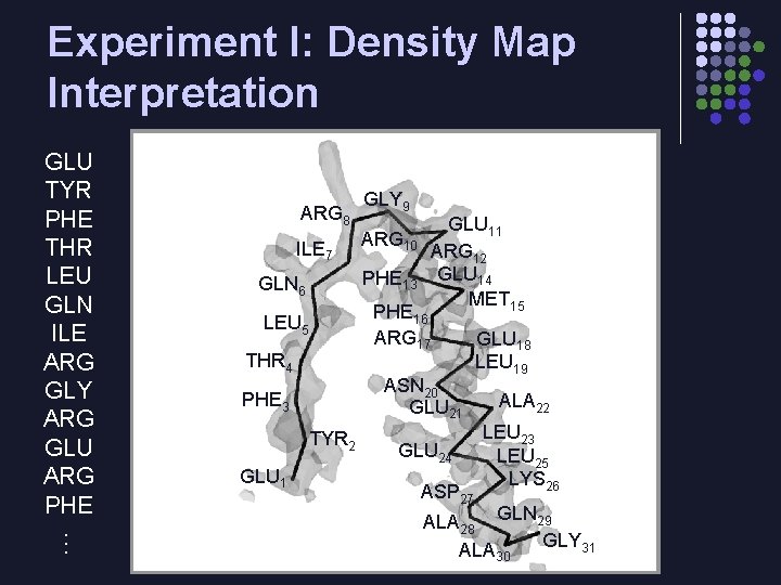 Experiment I: Density Map Interpretation GLU TYR PHE THR LEU GLN ILE ARG GLY