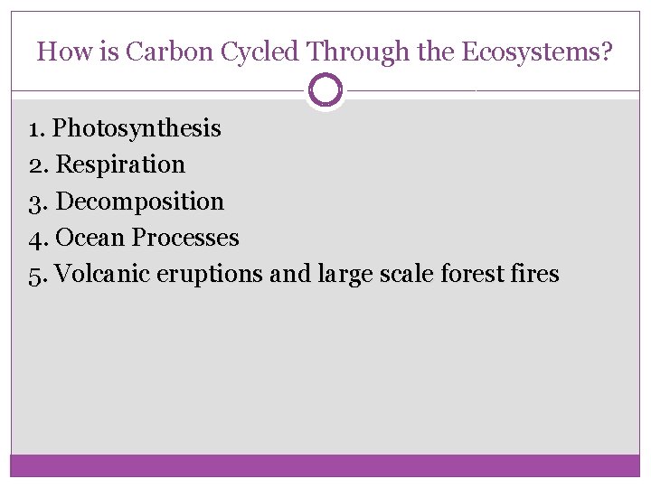 How is Carbon Cycled Through the Ecosystems? 1. Photosynthesis 2. Respiration 3. Decomposition 4.