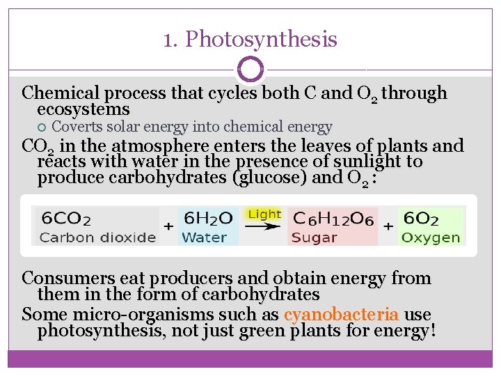 1. Photosynthesis Chemical process that cycles both C and O 2 through ecosystems Coverts