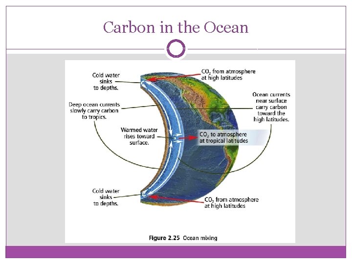 Carbon in the Ocean 
