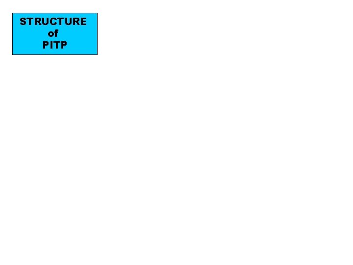 STRUCTURE of PITP 