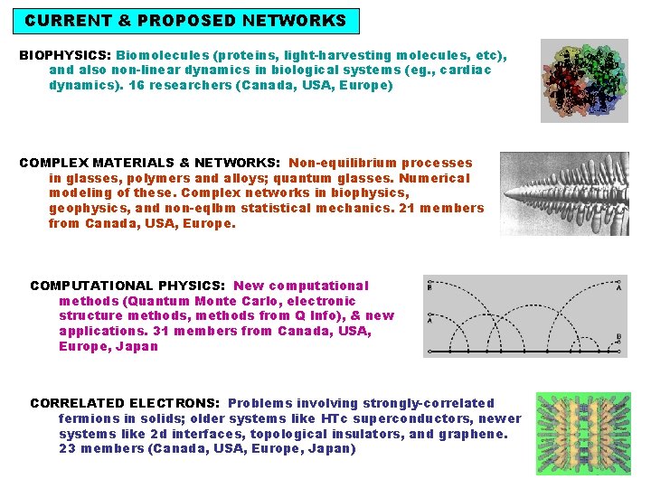 CURRENT & PROPOSED NETWORKS BIOPHYSICS: Biomolecules (proteins, light-harvesting molecules, etc), and also non-linear dynamics