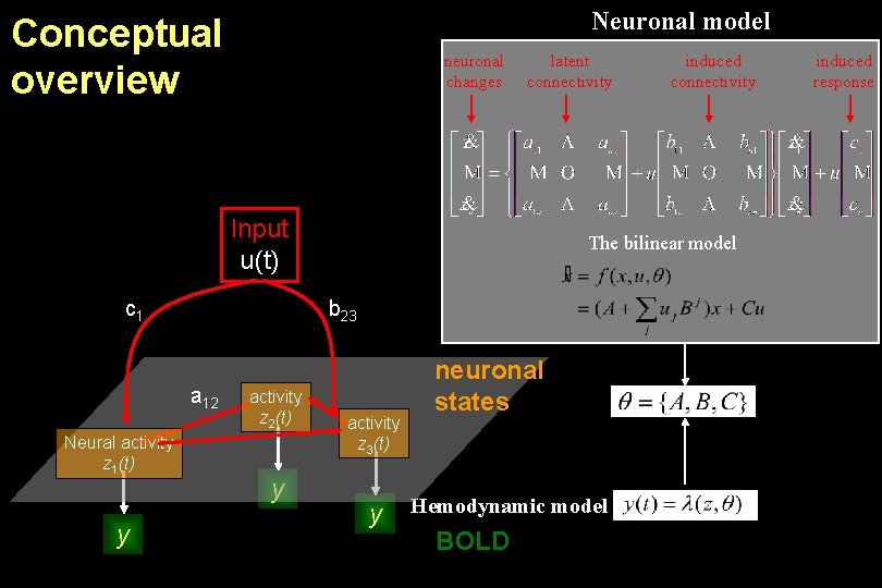 Neuronal model Conceptual overview neuronal changes latent connectivity Input u(t) c 1 Neural activity