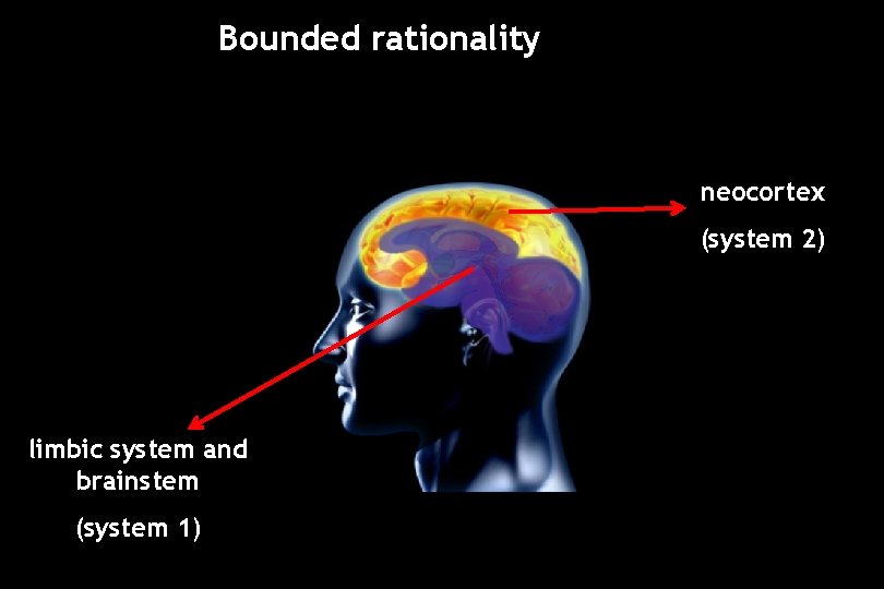 Bounded rationality neocortex (system 2) limbic system and brainstem (system 1) 