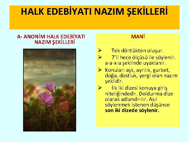 HALK EDEBİYATI NAZIM ŞEKİLLERİ MANİ A- ANONİM HALK EDEBİYATI NAZIM ŞEKİLLERİ Tek dörtlükten oluşur.