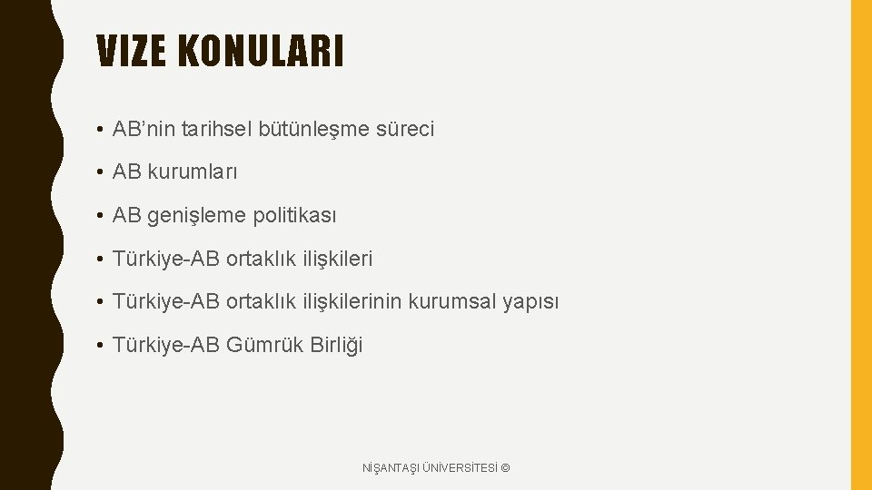 VIZE KONULARI • AB’nin tarihsel bütünleşme süreci • AB kurumları • AB genişleme politikası