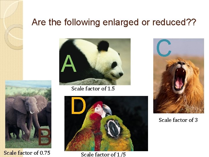 Are the following enlarged or reduced? ? C A Scale factor of 1. 5