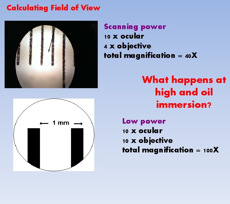 Calculating Field of View Scanning power 10 x ocular 4 x objective total magnification