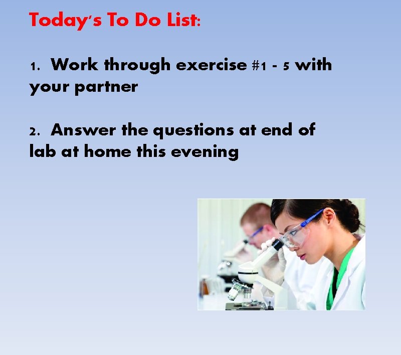 Today's To Do List: 1. Work through exercise #1 - 5 with your partner