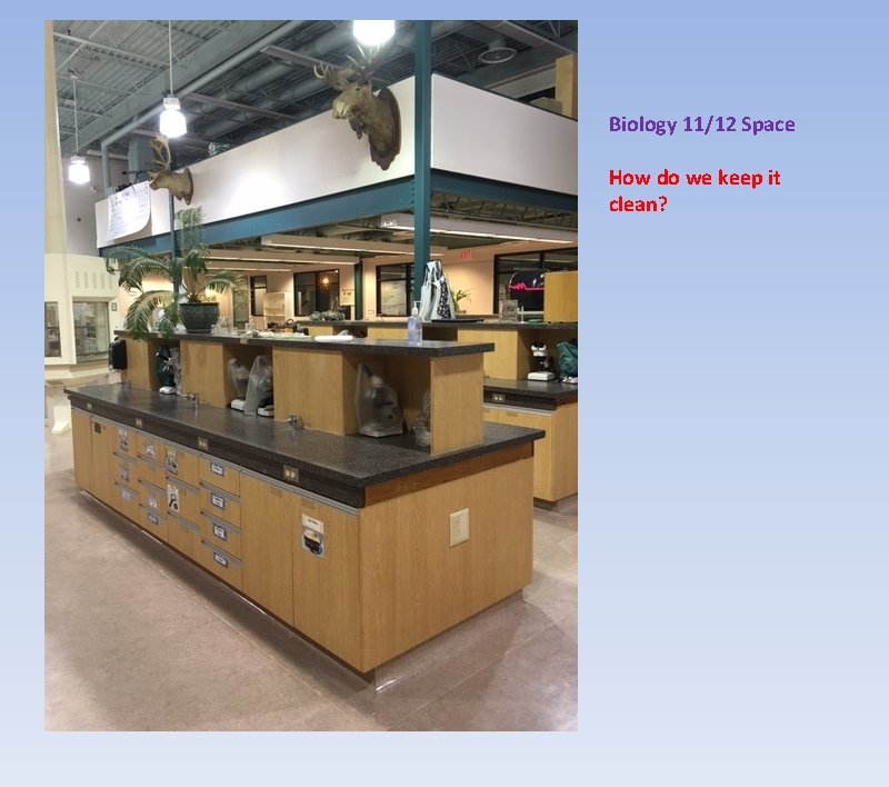 Biology 11/12 Space How do we keep it clean? 